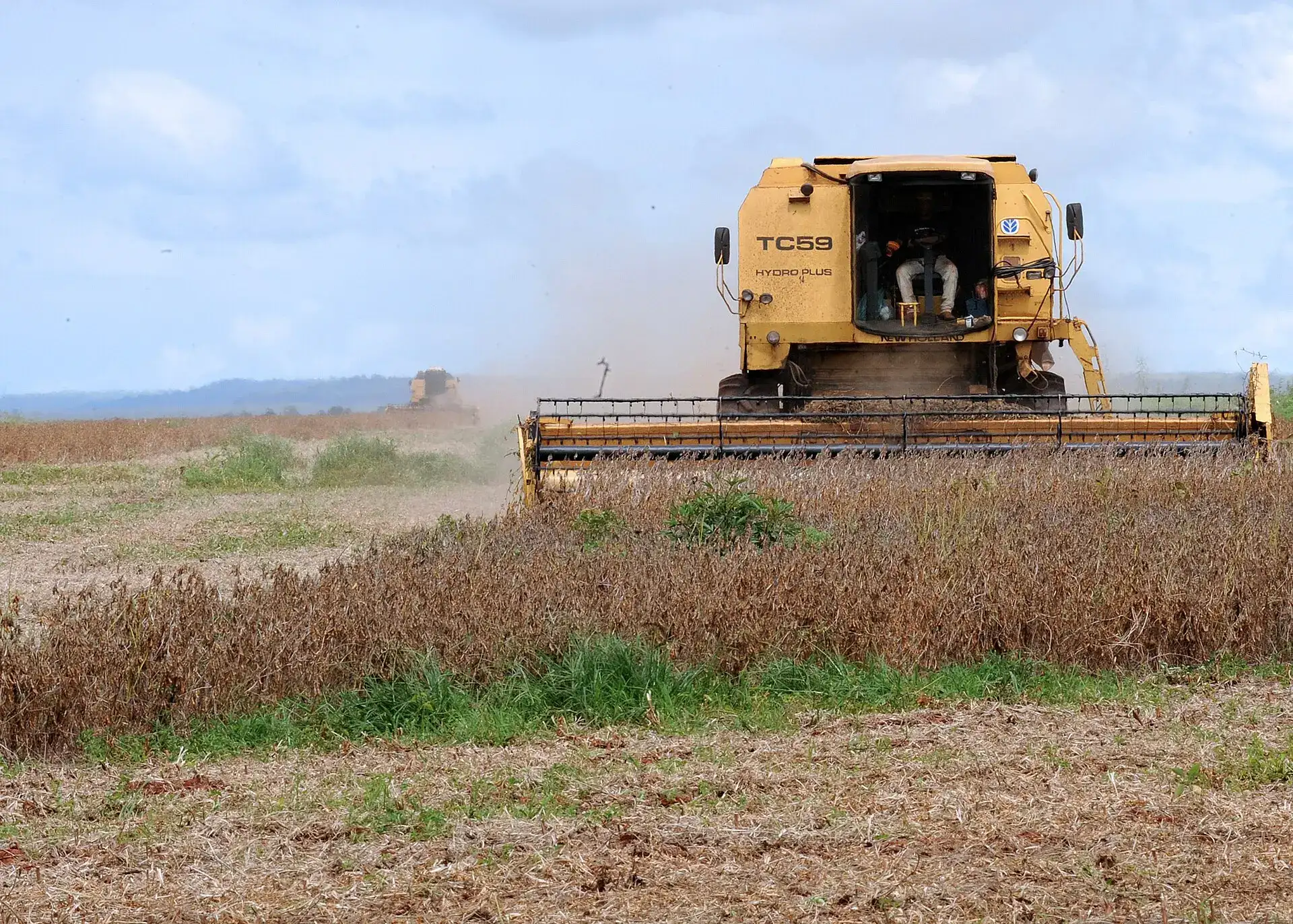 Colheitadeira colhendo soja em Mato Grosso