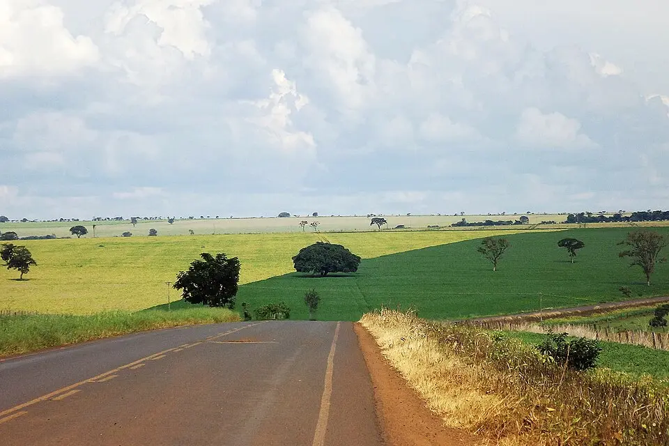 Lavouras de soja em Goiás
